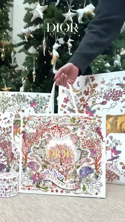 Dior - The Holiday Season Packaging — Atomic