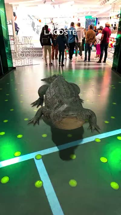 Lacoste Arena — Lacoste