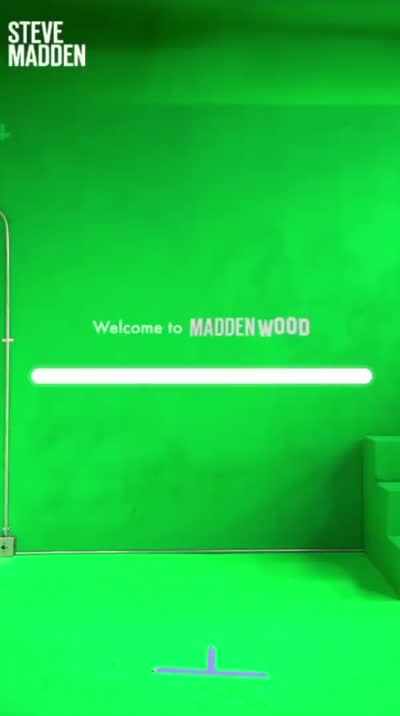 Maddenwood AR Campaign — Steve Madden