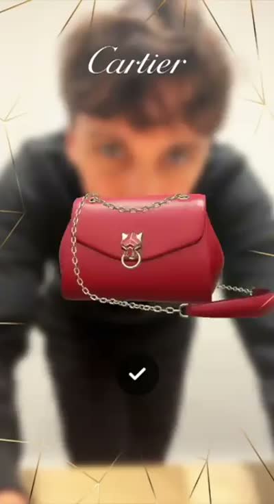 Panthère de Cartier Bag Try-On — Cartier