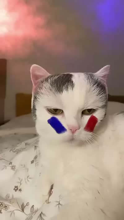 Vivo Euro World Cup — Vivo