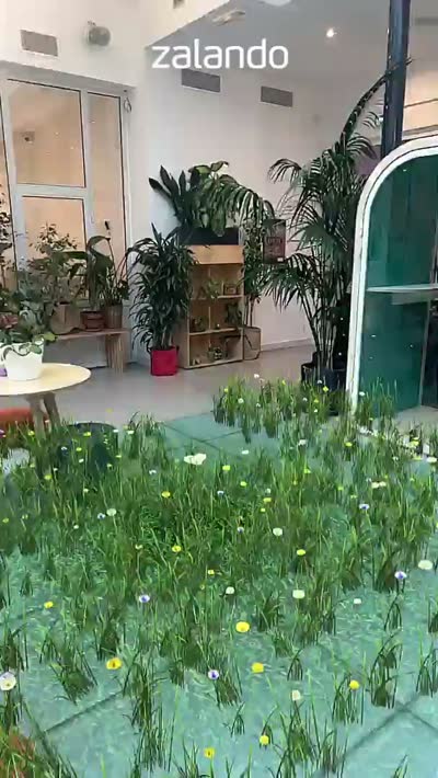 Zalando Nature — Zalando